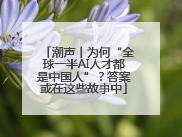 潮声丨为何“全球一半AI人才都是中国人”？答案或在这些故事中