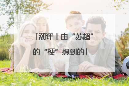 潮评丨由“苏超”的“梗”想到的