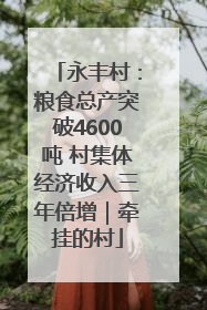 永丰村：粮食总产突破4600吨 村集体经济收入三年倍增｜牵挂的村