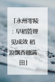 永州零陵：早稻管理见成效 稻浪飘香穗满田