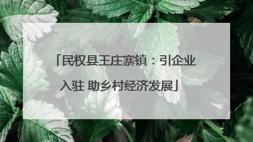 民权县王庄寨镇：引企业入驻 助乡村经济发展