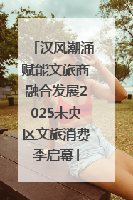 汉风潮涌赋能文旅商融合发展2025未央区文旅消费季启幕