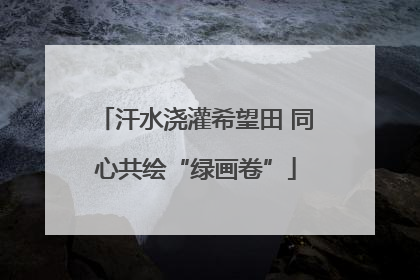 汗水浇灌希望田 同心共绘“绿画卷”