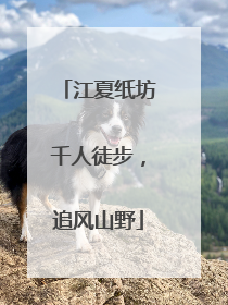 江夏纸坊千人徒步，追风山野