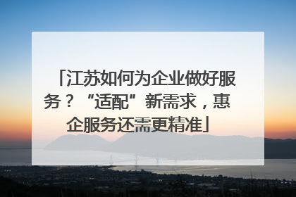 江苏如何为企业做好服务？“适配”新需求，惠企服务还需更精准