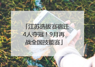 江苏选拔赛宿迁4人夺冠！9月再战全国技能赛