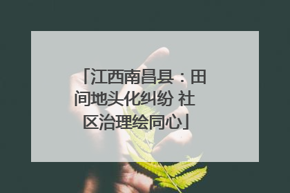 江西南昌县：田间地头化纠纷 社区治理绘同心