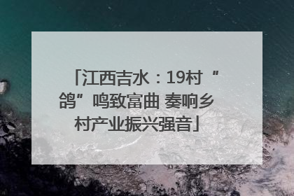 江西吉水：19村“鸽”鸣致富曲 奏响乡村产业振兴强音