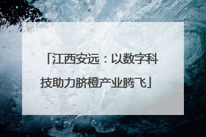 江西安远：以数字科技助力脐橙产业腾飞