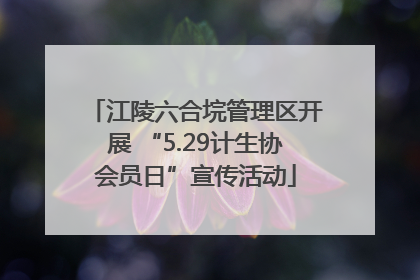 江陵六合垸管理区开展 “5.29计生协会员日”宣传活动