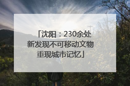 沈阳：230余处新发现不可移动文物重现城市记忆