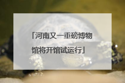 河南又一重磅博物馆将开馆试运行