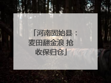 河南固始县：麦田翻金浪 抢收保归仓