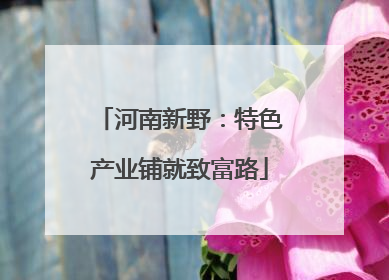 河南新野：特色产业铺就致富路