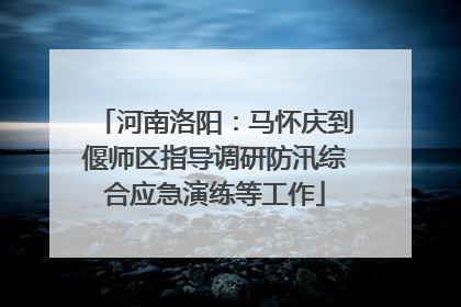 河南洛阳：马怀庆到偃师区指导调研防汛综合应急演练等工作