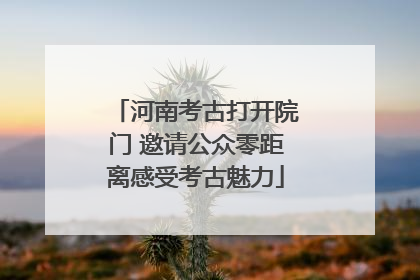 河南考古打开院门 邀请公众零距离感受考古魅力
