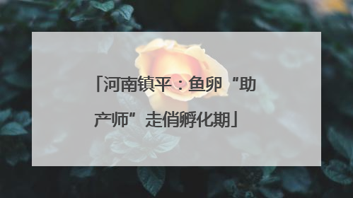 河南镇平：鱼卵“助产师”走俏孵化期
