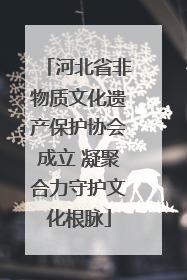 河北省非物质文化遗产保护协会成立 凝聚合力守护文化根脉