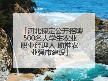 河北保定公开招聘500名大学生农业职业经理人 助推农业强市建设