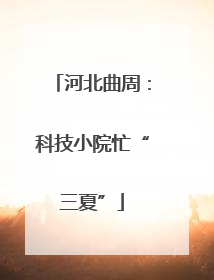 河北曲周：科技小院忙“三夏”