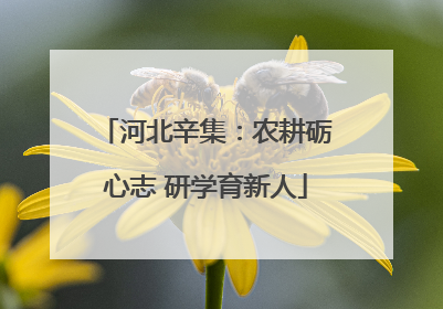河北辛集：农耕砺心志 研学育新人