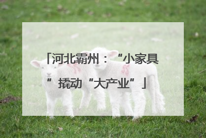 河北霸州：“小家具”撬动“大产业”