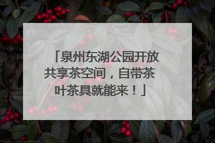 泉州东湖公园开放共享茶空间，自带茶叶茶具就能来！