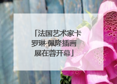法国艺术家卡罗琳·佩隆插画展在蓉开幕