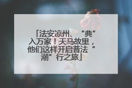 法安凉州、“典”入万家！天马故里，他们这样开启普法“潮”行之旅