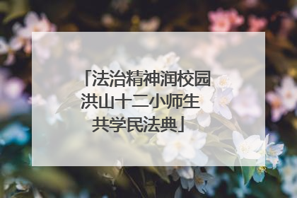 法治精神润校园 洪山十二小师生共学民法典