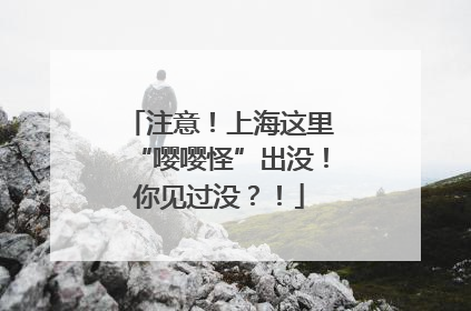 注意！上海这里“嘤嘤怪”出没！你见过没？！