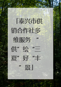 泰兴市供销合作社多维服务 “供”绘“三夏”好“丰”景