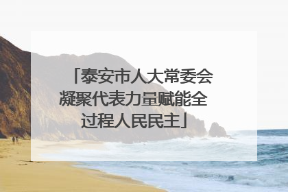 泰安市人大常委会凝聚代表力量赋能全过程人民民主