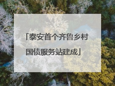 泰安首个齐鲁乡村国债服务站建成