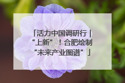 活力中国调研行｜“上新”！合肥绘制“未来产业图谱”