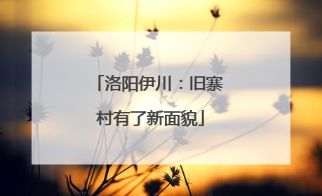 洛阳伊川：旧寨村有了新面貌