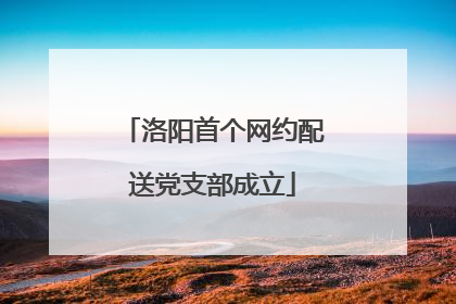 洛阳首个网约配送党支部成立