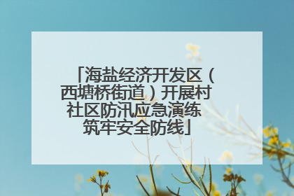海盐经济开发区（西塘桥街道）开展村社区防汛应急演练 筑牢安全防线