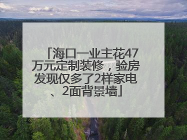 海口一业主花47万元定制装修，验房发现仅多了2样家电、2面背景墙
