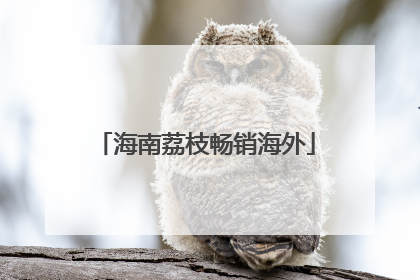 海南荔枝畅销海外