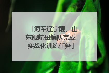 海军辽宁舰、山东舰航母编队完成实战化训练任务