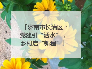 济南市长清区：党建引“活水”，乡村启“新程”