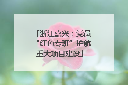 浙江嘉兴：党员“红色专班”护航重大项目建设