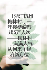 浙江杭州梅林村，一年接待游客超5万人次——梅林村，满满人气从何来（经济新方位·农村消费观察）
