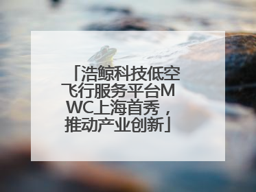 浩鲸科技低空飞行服务平台MWC上海首秀，推动产业创新