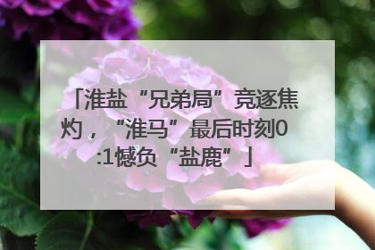 淮盐“兄弟局”竞逐焦灼，“淮马”最后时刻0:1憾负“盐鹿”