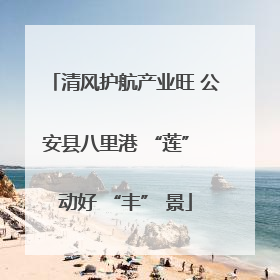 清风护航产业旺 公安县八里港 “莲” 动好 “丰” 景
