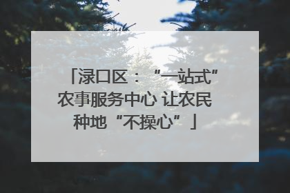 渌口区：“一站式”农事服务中心 让农民种地“不操心”