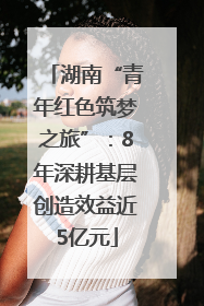 湖南“青年红色筑梦之旅”：8年深耕基层创造效益近5亿元