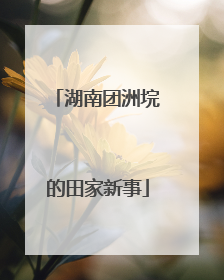 湖南团洲垸的田家新事